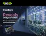 Datenblatt zu NetAlly CYBERSCOPE-CE-E-X2, EAN: 0841969101489