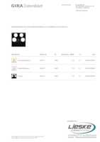 Datasheet for Gira 025910, EAN: 4010337259107