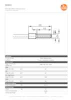 Datasheet for Ifm Electronic E20651, EAN: 4021179048491