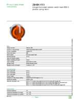 Datasheet for Schneider Electric ZB4BK1553, EAN: 3389110891003
