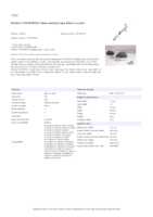 Datasheet for Brother TZEMPPH31, EAN: 4977766770286