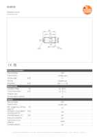 Datasheet for Ifm Electronic IG6018, EAN: 4021179116282