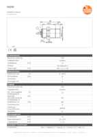 Datenblatt zu Ifm Electronic II5285, EAN: 4021179124454