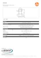 Datasheet for Ifm Electronic E40180, EAN: 4021179057066
