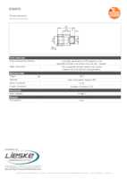 Datasheet for Ifm Electronic E30075, EAN: 4021179054065