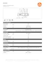 Datasheet for Ifm Electronic IGC234, EAN: 4021179101813