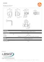 Datenblatt zu Ifm Electronic E20902, EAN: 4021179051002