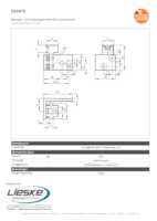Datenblatt zu Ifm Electronic E20976, EAN: 4021179051743