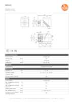 Datasheet for Ifm Electronic IM0041, EAN: 4021179129916