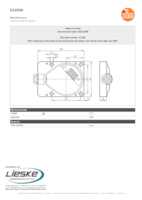 Datasheet for Ifm Electronic E10596, EAN: 4021179027847