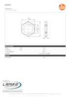 Datasheet for Ifm Electronic E10027, EAN: 4021179022187