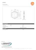Datenblatt zu Ifm Electronic E10027, EAN: 4021179022187