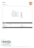 Datasheet for Ifm Electronic E10021, EAN: 4021179022125