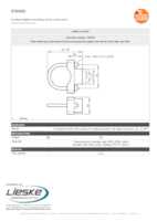 Datasheet for Ifm Electronic E30062, EAN: 4021179053938