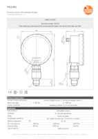 Datasheet for Ifm Electronic PG2451, EAN: 4021179257503