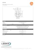 Datasheet for Ifm Electronic E30108, EAN: 4021179054393