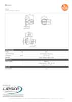 Datasheet for Ifm Electronic E21110, EAN: 4021179053082