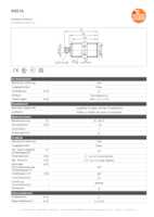 Datenblatt zu Ifm Electronic IIM216, EAN: 4021179117906