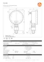 Datasheet for Ifm Electronic PG2489, EAN: 4021179257589