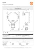 Datasheet for Ifm Electronic PG2450, EAN: 4021179257497