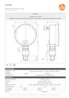 Datenblatt zu Ifm Electronic PG2450, EAN: 4021179257497
