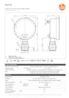 Datasheet for Ifm Electronic PG2734, EAN: 4021179257596