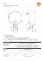 Datasheet for Ifm Electronic PG2895, EAN: 4021179257633