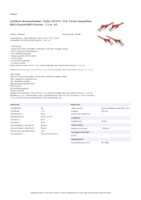 Datasheet for Intellinet 330688, EAN: 0766623330688