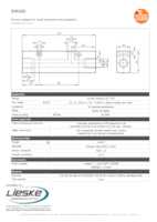 Datasheet for Ifm Electronic E40162, EAN: 4021179056885