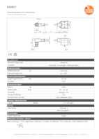 Datenblatt zu Ifm Electronic E10817, EAN: 4021179030021