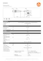 Datenblatt zu Ifm Electronic EVW153, EAN: 4021179280525