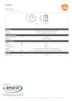 Datasheet for Ifm Electronic E12598, EAN: 4021179316682