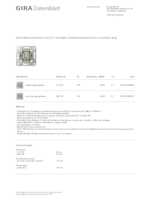 Datasheet for Gira 382200, EAN: 4010337038702