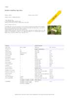 Datasheet for Brother TZE621, EAN: 4977766686655