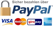 PayPal Logo
