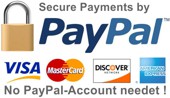 Payment by PayPal