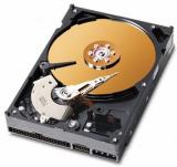RAID hard disk &mdash; single drive in the RAID array