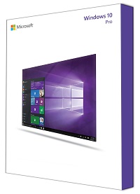windows 10 Pro Box
